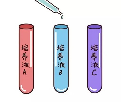 赴泰生子過程需要注意的事項是什么？