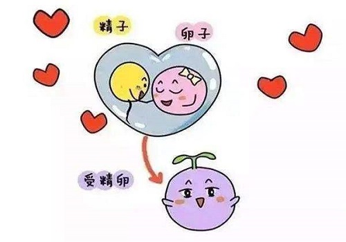 2022年三代試管嬰兒技術(shù)有什么弊端？