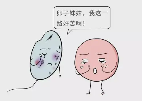 試管嬰兒過程的感受你是否都清楚了呢？