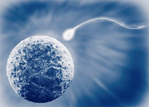 試管嬰兒費用大約多少？2022年合療有補貼嗎？