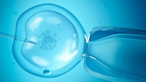 試管嬰兒花的錢越多越容易成功